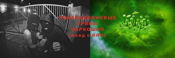 apvp Магас