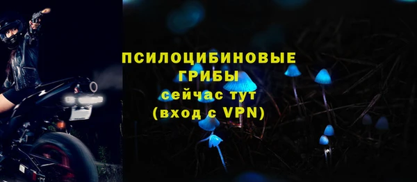 ECSTASY Саяногорск